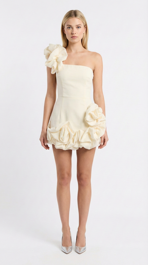 Clara One-Shoulder Bustier Mini Dress