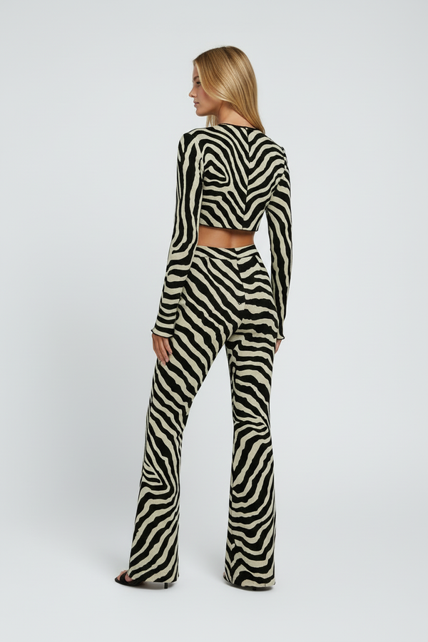 Cena 4: Vista Traseira - Conjunto Zebra Print