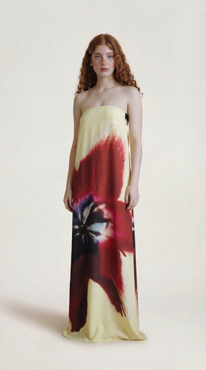 Elegant Maxi Dress Femme Simone