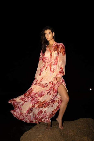 Elena Long Sleeve Floral Maxi Dress